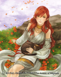 Rule 34 | 1girl, animal, animal on lap, black cat, braid, brown eyes, cat, cat on lap, copyright name, detached sleeves, earrings, flower, full body, goosebumps (circle), grass, jewelry, long hair, looking at viewer, official art, on lap, outdoors, parted lips, petals, pointy ears, red hair, ripples, rock, seikon no arcana, solo, water, watermark