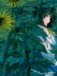 Rule 34 | 1girl, alternate costume, brown eyes, female focus, finger to mouth, flower, from side, green hair, hiding, kazami yuuka, kinosaki, leaf, long sleeves, looking at viewer, profile, short hair, solo, sunflower, touhou