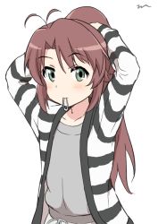 Rule 34 | 1girl, aayh, alternate costume, antenna hair, arms behind back, arms up, blush, brown hair, closed mouth, collarbone, commentary request, green eyes, grey shirt, hair tie, hair tie in mouth, jacket, koshigaya komari, long hair, looking at viewer, mouth hold, non non biyori, open clothes, open jacket, ponytail, shirt, signature, simple background, solo, striped clothes, striped jacket, tying hair, very long hair, white background