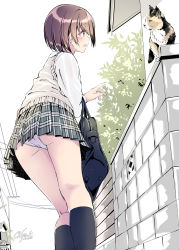 Rule 34 | 1girl, ass, bag, blush, brick wall, brown eyes, brown hair, building, cable, calico, cat, collared shirt, commentary request, cowboy shot, crotch seam, dress shirt, facing away, fence, from below, gate, green skirt, highres, holding, holding bag, kneehighs, kneepits, kobayashi chisato, leaf, looking at animal, on fence, open mouth, original, panties, pantyshot, plaid, plaid skirt, pleated skirt, power lines, reaching, reaching towards viewer, road, school bag, school uniform, shirt, short hair, skirt, socks, solo, stone, street, sweater vest, tree, underwear, utility pole, white panties, white shirt, yellow sweater vest