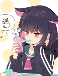 Rule 34 | 1girl, absurdres, animal, animal ears, black choker, black hair, black hoodie, blue archive, blush, breasts, cellphone, choker, collarbone, commentary request, drawstring, eating, food, food in mouth, green sailor collar, hamster, highres, holding, holding phone, hood, hood down, hoodie, kazusa (blue archive), long sleeves, macaron, multicolored hair, nekoyanagi (azelsynn), phone, pink hair, puffy long sleeves, puffy sleeves, red eyes, sailor collar, seed, sleeves past wrists, small breasts, solo, spoken animal, sunflower seed, translation request, two-tone hair, upper body, white background