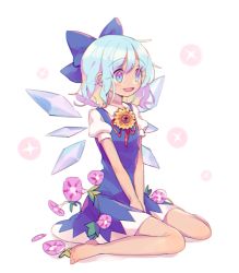 Rule 34 | 1girl, :d, barefoot, blue bow, blue dress, blue eyes, blue hair, bow, cirno, dress, flower, full body, hair bow, ice, ice wings, mimureem, morning glory, multicolored eyes, open mouth, puffy short sleeves, puffy sleeves, purple eyes, short hair, short sleeves, sitting, smile, solo, sunflower, tan, tanned cirno, touhou, v arms, wariza, white background, wings