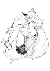 Rule 34 | 1girl, ahoge, animal ear fluff, animal ears, bare shoulders, barefoot, bike shorts, crossed ankles, fingernails, fox ears, fox girl, fox girl (jaco), fox tail, from side, full body, greyscale, hugging own legs, hugging own tail, hugging tail, jaco, large tail, looking at viewer, looking to the side, monochrome, off-shoulder shirt, off shoulder, original, see-through, shirt, short hair, short shorts, shorts, simple background, sketch, solo, tail, thick eyebrows, white background