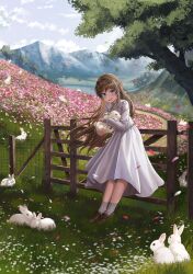 Rule 34 | 1girl, :d, absurdres, animal, black footwear, blue eyes, blush, brown footwear, brown hair, chinese zodiac, cloud, commentary, day, dress, eyelashes, falling petals, fence, field, floating hair, flower, flower field, full body, gate, grass, grey socks, hair intakes, highres, holding, holding animal, holding rabbit, leaning on object, loafers, long hair, long sleeves, looking at viewer, mountain, open mouth, original, outdoors, parted lips, path, petals, pink flower, rabbit, road, scenery, shoes, sidelocks, silvertsuki, sky, smile, socks, solo, standing, teeth, tree, upper teeth only, water, white dress, white flower, year of the rabbit