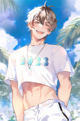 Rule 34 | 1boy, 2023, abs, bishounen, brown eyes, eiden (nu carnival), jewelry, light brown hair, looking at viewer, male focus, necklace, nu carnival, open mouth, owner bird, palm leaf, shirt, short hair, short sleeves, solo, white shirt