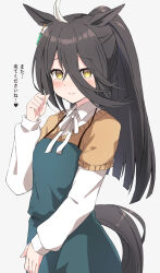 Rule 34 | 1girl, ahoge, alternate costume, alternate hairstyle, animal ears, apron, blush, commentary request, green apron, grey background, hair between eyes, highres, horse ears, horse girl, horse tail, long hair, long sleeves, looking at viewer, manhattan cafe (umamusume), multicolored hair, musicccc, neck ribbon, ponytail, ribbon, simple background, smile, solo, streaked hair, tail, translation request, umamusume, upper body, white hair, yellow eyes