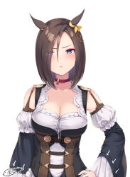 Rule 34 | 1girl, air groove (umamusume), animal ears, blue eyes, blush, breasts, brown hair, choker, cleavage, commentary request, cosplay, detached sleeves, ear ornament, eishin flash (umamusume), eishin flash (umamusume) (cosplay), hair over one eye, hand on own hip, highres, horse ears, horse girl, kin&#039;iro dojo, long sleeves, looking at viewer, medium breasts, medium hair, parted lips, revision, shoulder strap, signature, simple background, solo, umamusume, upper body, white background