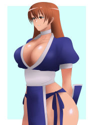 Rule 34 | 1girl, absurdres, arms behind back, breasts, brown eyes, brown hair, choker, cleavage, dead or alive, highres, hip focus, japanese clothes, kagemusha, kasumi (doa), large breasts, long hair, no panties, pelvic curtain, solo, thighs