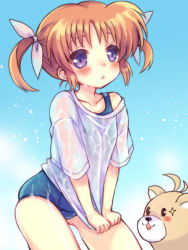 Rule 34 | 1girl, blue one-piece swimsuit, blue sky, blush, brown hair, chonkoo, commentary, cowboy shot, day, eyes visible through hair, ferret, leaning forward, looking at viewer, lyrical nanoha, mahou shoujo lyrical nanoha, no pants, old school swimsuit, one-piece swimsuit, outdoors, purple eyes, school swimsuit, see-through, shirt, shirt tug, short hair, short sleeves, skindentation, sky, solo, standing, swimsuit, t-shirt, takamachi nanoha, twintails, wet, wet clothes, wet shirt, white shirt, yuuno scrya