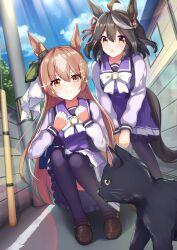 Rule 34 | 2girls, animal ears, bent over, black hair, brown eyes, brown hair, cat, clenched hands, commentary request, hair ornament, highres, horse ears, horse girl, horse tail, kitasan black (umamusume), long hair, looking at viewer, multiple girls, road, satono diamond (umamusume), school uniform, sitting, smile, sparkle, street, sunny (20597521), tail, thighhighs, umamusume