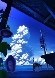 Rule 34 | bench, blue sky, blue theme, calico, cat, cloud, cloudy sky, day, flower, flower request, horizon, leaf, no humans, ocean, original, outdoors, power lines, scenery, sky, tail, takeyan (774gon), traffic light, train station