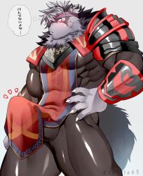Rule 34 | 1boy, animal ears, bad id, bad twitter id, bara, blush, bodysuit, bulge, character request, clothes lift, covered abs, erection, erection under clothes, feet out of frame, furry, furry male, headband, hidora art, highres, large pectorals, latex, latex bodysuit, male focus, muscular, muscular male, pectorals, pelvic curtain, pelvic curtain lift, short hair, solo, tail, thick thighs, thighs, tokyo houkago summoners, translation request, volkh vseslav, wolf boy, wolf ears, wolf tail