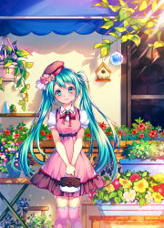 Rule 34 | 1girl, aqua eyes, aqua hair, awning, bad id, bad pixiv id, bag, beret, birdhouse, blue flower, bottle, cactus, day, dress, flower, frilled sleeves, frills, handbag, hanging plant, hat, hat flower, hatsune miku, highres, holding, holding bag, kawaii2penguin, lace, lace-trimmed legwear, lace trim, long hair, looking at viewer, neck ribbon, outdoors, over-kneehighs, pinafore dress, pink dress, pink flower, pink ribbon, pink thighhighs, plant, planter, potted plant, purple flower, red flower, ribbon, shelf, short sleeves, sleeveless dress, smile, solo, table, thighhighs, twintails, vocaloid, white flower, wind chime, window, yellow flower