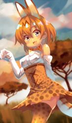 Rule 34 | 10s, absurdres, animal ears, blush, bow, bowtie, denchu (kazudentyu), elbow gloves, gloves, grey eyes, highres, kemono friends, looking at viewer, open mouth, orange bow, orange bowtie, orange hair, orange thighhighs, serval (kemono friends), serval tail, short hair, smile, tail, teeth, thighhighs, white gloves
