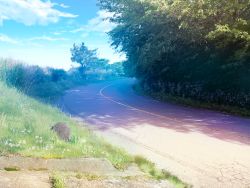Rule 34 | absurdres, blue sky, cloud, commentary request, dappled sunlight, grass, hachio81, highres, no humans, original, outdoors, road, rock, scenery, sky, street, sunlight