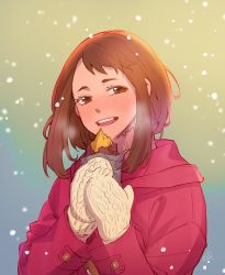 Rule 34 | 10s, 1girl, :d, blush, boku no hero academia, brown eyes, brown hair, coat, commentary request, ed (chibied), food, head tilt, holding, holding food, korean commentary, looking at viewer, mittens, open mouth, pink coat, short eyebrows, short hair, sidelocks, smile, snow, solo, upper body, uraraka ochako, white mittens, winter clothes, winter coat