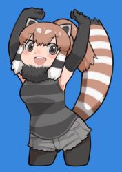 Rule 34 | 1girl, animal ears, black hair, blue background, brown eyes, brown hair, elbow gloves, extra ears, gloves, highres, kemono friends, long hair, looking at viewer, multicolored hair, pantyhose, ponytail, red panda (kemono friends), red panda ears, red panda girl, red panda tail, rinx, scarf, shirt, shorts, simple background, sleeveless, sleeveless shirt, solo, tail, white hair