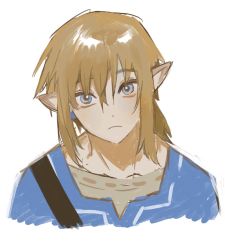 Rule 34 | 1boy, blonde hair, blue eyes, blue tunic, closed mouth, cropped torso, earrings, hair between eyes, jewelry, link, looking at viewer, mabelmine, male focus, nintendo, pointy ears, shirt, simple background, solo, the legend of zelda, the legend of zelda: breath of the wild, tunic, upper body, white background