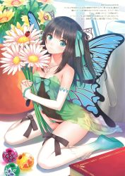 Rule 34 | 1girl, absurdres, aqua eyes, bare shoulders, bead necklace, beads, black hair, black panties, blunt bangs, book, bow, bow legwear, bow panties, breasts, bug, butterfly wings, camisole, cleavage, collarbone, covered navel, daisy, detached sleeves, fairy, flower, flower pot, frilled sleeves, frills, gloves, hair ornament, hair ribbon, head tilt, highres, holding, holding flower, insect, insect wings, jewelry, ladybug, light smile, long hair, looking at viewer, lowleg, lowleg panties, mini person, minigirl, necklace, no pants, one side up, original, own hands together, panties, peace keeper daisy, pendant, plant, potted plant, ribbon, scan, shoes, sitting, small breasts, smile, solo, strapless, strapless camisole, thighhighs, tony taka, tube top, two side up, underwear, wariza, white thighhighs, wings