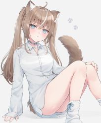 Rule 34 | 1girl, :o, absurdres, ahoge, animal ear fluff, animal ears, bare legs, blue eyes, blush, breasts, brown hair, cat ears, cat girl, cat tail, clothing cutout, collar, collared shirt, dress shirt, feet out of frame, grey background, hand on own knee, highres, knees up, long hair, long sleeves, looking at viewer, medium breasts, multicolored hair, no pants, original, parted lips, shano hiyori, shirt, simple background, sitting, socks, solo, streaked hair, tail, tail through clothes, thighs, twintails, two-tone hair, white background, white hair, white shirt, white socks