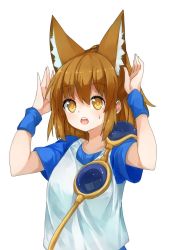 Rule 34 | 1girl, animal ear fluff, animal ears, arle nadja, brown eyes, brown hair, commentary, fox ears, highres, kemonomimi mode, long hair, open mouth, parted lips, ponytail, puyopuyo, shirt, simple background, solo, sweat, sweatdrop, waichi, white background, wristband