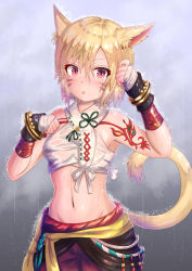 Rule 34 | 1girl, :o, animal ear fluff, animal ears, armpits, bandaged hand, bandages, bare shoulders, blonde hair, blush, bracelet, cat ears, cat tail, cocoasabure, commentary request, crop top, facial mark, final fantasy, final fantasy xiv, hair between eyes, hands up, highres, jewelry, looking at viewer, midriff, miqo&#039;te, monk (final fantasy), navel, parted lips, rain, red eyes, red shorts, short hair, shorts, sleeveless, slit pupils, solo, standing, stomach, tail, tattoo, upper body, water, wet