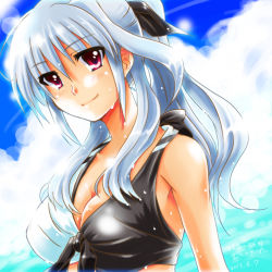 Rule 34 | 1girl, alternate hairstyle, bikini, breasts, cleavage, cloud, dated, day, front-tie top, large breasts, long hair, lyrical nanoha, mahou shoujo lyrical nanoha, mahou shoujo lyrical nanoha a&#039;s, ponytail, red eyes, reinforce, san-pon, silver hair, sky, smile, solo, swimsuit, water, wet