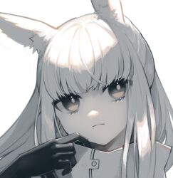 Rule 34 | 1girl, animal ears, arknights, black gloves, commentary request, gloves, grey eyes, head tilt, high collar, horse ears, long hair, looking at viewer, miike (992058), platinum (arknights), simple background, solo, white background, white hair