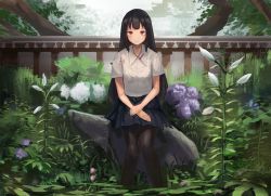Rule 34 | 1girl, black hair, black pantyhose, blue skirt, closed mouth, collared shirt, commentary request, day, fjsmu, flower, grass, hands on lap, highres, light frown, long hair, looking at viewer, on rock, original, outdoors, own hands together, pantyhose, pleated skirt, purple eyes, scenery, shirt, short sleeves, sitting, skirt, solo, sunlight, tree, very long hair, white flower, white shirt