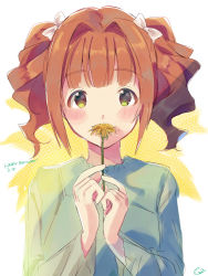 Rule 34 | 1girl, blunt bangs, bow, brown hair, commentary request, flower, flower to mouth, hair bow, highres, idolmaster, idolmaster (classic), kuzuya ramurin, long sleeves, looking at viewer, short hair, solo, takatsuki yayoi, twintails, upper body, white bow, yellow eyes