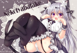 Rule 34 | 1girl, animal ears, black thighhighs, blush, bow, breasts, cat ears, cat tail, fang, garter straps, hair bow, large breasts, long hair, looking at viewer, ooji cha, open mouth, original, oziko (ooji cha), panties, pantyshot, paw pose, purple eyes, silver hair, solo, tail, thighhighs, underwear