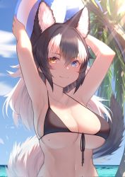 Rule 34 | 1girl, :3, akuma (st.takuma), animal ear fluff, animal ears, armpits, arms up, ball, bare arms, bare shoulders, beach, beachball, bikini, black bikini, black hair, blue eyes, blue sky, breasts, cleavage, collarbone, commentary request, day, extra ears, front-tie bikini top, front-tie top, grey wolf (kemono friends), hair between eyes, heterochromia, highres, kemono friends, large breasts, long hair, looking at viewer, mole, mole on breast, multicolored hair, outdoors, palm tree, sky, smile, solo, swimsuit, table, tree, two-tone hair, upper body, white hair, wolf ears, wolf girl, wooden table, yellow eyes
