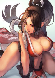 Rule 34 | 1girl, breasts, fatal fury, large breasts, ponytail, shiranui mai, snk, solo, the king of fighters, thighs