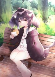 Rule 34 | 1girl, :|, absurdres, ahoge, animal ears, bench, black hair, brown hair, bush, cat ears, cat girl, cat tail, child, closed mouth, day, dodosako, expressionless, food, forest, highres, holding, holding food, jacket, japanese text, legs together, looking at viewer, nature, no pants, open clothes, open jacket, orange background, original, shirt, short hair, sidelocks, sitting, sitting on object, socks, solo, sunlight, t-shirt, tagme, tail, translation request, tree, white footwear, white shirt