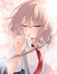 Rule 34 | 1girl, bag, blurry, blurry foreground, blush, breasts, brown eyes, brown hair, cherry blossoms, collared shirt, commentary request, covered mouth, depth of field, flower, flower over mouth, hair between eyes, hand up, highres, holding, holding flower, looking away, looking to the side, necktie, original, poprication, red necktie, school bag, school uniform, shirt, short sleeves, small breasts, solo, upper body, white flower, white shirt