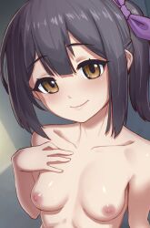 Rule 34 | 1girl, black hair, blush, breasts, brown eyes, carbon12th, collarbone, fate/kaleid liner prisma illya, fate (series), hair ornament, hairclip, looking at viewer, medium hair, miyu edelfelt, nipples, nude, small breasts, smile, solo, twintails