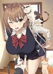 Rule 34 | 1girl, :3, absurdres, animal, animal on shoulder, bag, bell, black skirt, breasts, brown hair, calico, cat, cleavage, collar, collarbone, frilled skirt, frills, green eyes, highres, ijima yuu, indoors, large breasts, leaning forward, long sleeves, looking at another, looking up, medium hair, mole, mole under eye, nail polish, neck bell, one eye closed, open mouth, original, red nails, school bag, school uniform, shadow, shirt, skirt, solo, stairs, tabby cat, thick eyebrows, upskirt, white shirt, white sleeves, window