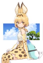 Rule 34 | 10s, 1girl, :3, animal ears, back-to-back, blonde hair, blue sky, bow, bowtie, cloud, cloudy sky, commentary request, day, elbow gloves, extra ears, fur collar, gloves, highres, kanzarin, kemono friends, looking at viewer, lucky beast (kemono friends), outdoors, serval (kemono friends), serval print, serval tail, shirt, short hair, sitting, sky, sleeveless, sleeveless shirt, solo, tail, thighhighs, tree, yellow eyes