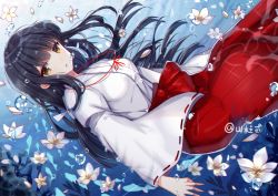 Rule 34 | 1girl, air bubble, black hair, blunt bangs, breasts, bubble, closed mouth, eyebrows, flower, from side, hair ribbon, hakama, hakama skirt, inuyasha, japanese clothes, kikyou (inuyasha), long hair, long sleeves, looking at viewer, medium breasts, miko, parted lips, red hakama, ribbon, ribbon trim, school of fish, shanguier, silhouette, skirt, solo, straight hair, submerged, twitter username, underwater, white flower, wide sleeves, yellow eyes