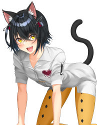Rule 34 | 1boy, absurdres, all fours, animal ears, arched back, blush, cat ears, cat tail, collarbone, commentary request, crossed bangs, fangs, hair between eyes, hair ornament, heart, highres, karasu (jjwh2832), looking at viewer, male focus, mashiro meme, mashiro meme (1st costume), medium hair, nijisanji, open mouth, pantyhose, shadow, shirt, short sleeves, sidelocks, simple background, smile, solo, tail, teeth, trap, upper teeth only, virtual youtuber, white background, white shirt, yellow eyes, yellow pantyhose
