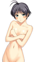Rule 34 | 00s, 1girl, androgynous, antenna hair, black hair, blue eyes, blush, completely nude, covering privates, covering breasts, crossed arms, flat chest, groin, idolmaster, idolmaster (classic), idolmaster 1, kikuchi makoto, navel, nude, nude cover, parted lips, simple background, solo, tanaka shoutarou, white background