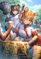 Rule 34 | 3girls, animal ear fluff, animal ears, animal print, arm wrestling, bear ears, paw stick, blonde hair, blouse, blue neckwear, blush, bow, bowtie, brown bear (kemono friends), brown eyes, brown gloves, brown hair, brown skirt, clenched teeth, collared shirt, commentary request, day, elbow gloves, extra ears, fingerless gloves, fist pump, garter straps, gloves, kemono friends, kemono friends 3, kemono friends 3: planet tours, multiple girls, necktie, official art, one eye closed, outdoors, plaid, plaid neckwear, plaid skirt, plaid trim, pleated skirt, print gloves, print legwear, shirt, short hair, short sleeves, shorts, shorts under skirt, siberian tiger (kemono friends), skirt, striped tail, sweatdrop, tail, teeth, thighhighs, tiger (kemono friends), tiger ears, tiger print, tiger tail, ueo04, v-shaped eyebrows, white hair, white shirt, yellow eyes, zettai ryouiki