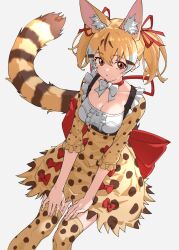 Rule 34 | 1girl, animal ear fluff, animal ears, black hair, blonde hair, bow, bow choker, breasts, center frills, chest harness, choker, cleavage, commentary, extra ears, frills, grey background, hair between eyes, hair ribbon, harness, high-waist skirt, highres, kemono friends, large-spotted genet (kemono friends), large bow, leaning forward, long sleeves, looking at viewer, medium breasts, multicolored hair, orange eyes, print skirt, print sleeves, print thighhighs, red bow, red choker, red ribbon, ribbon, short hair, simple background, skirt, solo, striped tail, tail, tanabe (fueisei), thighhighs, twintails, waist bow, white bow, white hair, zettai ryouiki