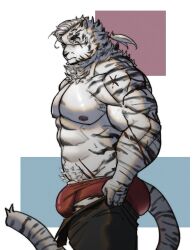 Rule 34 | 1boy, abs, animal ears, arknights, ass, bara, bulge, dressing, facial hair, furry, furry male, goatee, highres, i&#039;ve never seen a guy recreate this successfully tbh (meme), large pectorals, leng xiaoyu, male focus, male underwear, meme, mountain (arknights), muscular, muscular male, nipples, official alternate hairstyle, open pants, pants, pants lift, pectorals, ponytail, red male underwear, scar, scar across eye, scar on arm, short hair, solo, stomach, thick eyebrows, tiger boy, tiger ears, topless male, undersized clothes, underwear, white hair
