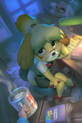Rule 34 | 1girl, animal crossing, animal ears, arm support, blonde hair, blurry, blurry foreground, chair, closed mouth, cup, desk, desk lamp, dog ears, dog girl, dog tail, drink, fisheye, furry, furry female, glasses, head rest, holding, holding cup, indoors, isabelle (animal crossing), knees together feet apart, lamp, looking at viewer, miles-df, multicolored hair, night, nintendo, office chair, orange hair, paid reward available, paper, pencil skirt, pov, pov hands, rimless eyewear, seiza, shirt, short sleeves, sitting, skirt, snout, solo focus, steam, swivel chair, tail, topknot, two-tone hair, vest, window