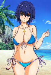 Rule 34 | 1girl, absurdres, beach, bikini, blue eyes, blue hair, blush, breasts, ciel (tsukihime), cleavage, cross, cross necklace, highres, jewelry, large breasts, looking at viewer, navel, necklace, short hair, smile, solo, standing, swimsuit, tsukihime