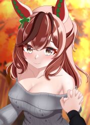 Rule 34 | 1girl, 1other, absurdres, alternate costume, alternate hairstyle, animal ears, autumn, bare shoulders, black sweater, blurry, blurry background, blush, bow, breasts, brown eyes, cleavage, commentary request, disembodied limb, ear bow, ear covers, green bow, grey sweater, hair down, highres, holding hands, horse ears, horse girl, large breasts, looking at viewer, multicolored hair, nice nature (umamusume), off-shoulder sweater, off shoulder, outdoors, pov, red hair, s00h11o13, smile, solo focus, streaked hair, sweater, umamusume, upper body