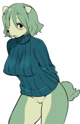 Rule 34 | 1girl, agemono, animal ears, black eyes, blush, bottomless, breasts, furry, furry female, green hair, hair over one eye, large breasts, mole, original, ribbed sweater, short hair, solo, sweater, tail, wanko (agemono)