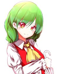 Rule 34 | 1girl, ascot, green hair, highres, juliet sleeves, kazami yuuka, long sleeves, looking at viewer, puffy sleeves, red eyes, red vest, rie-co, simple background, smile, solo, sparkling eyes, touhou, umbrella, white background, wing collar