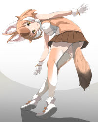 Rule 34 | 1girl, animal ears, bare shoulders, bent over, boots, brown shirt, brown skirt, brown thighhighs, dhole (kemono friends), dog ears, dog girl, dog tail, gloves, highres, kemono friends, kemono friends 3, light brown hair, looking at viewer, minami fuzei, multicolored hair, pleated skirt, shirt, short hair, skirt, sleeveless, solo, tail, thighhighs, two-tone hair, two-tone shirt, two-tone thighhighs, white footwear, white gloves, white hair, white shirt, white thighhighs, yellow eyes, zettai ryouiki